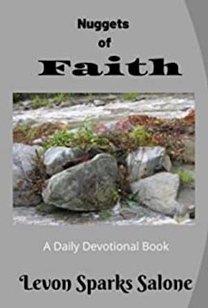 Nuggets of Faith Box Set (Devotional and Workbook)