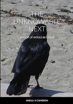 The Unknowable Next: a book of would be lyrics