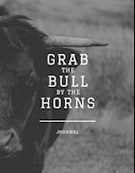 Grab the Bull by the Horns: Journal 