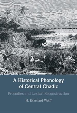 Historical Phonology of Central Chadic