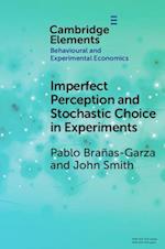 Imperfect Perception and Stochastic Choice in Experiments