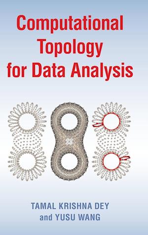 Computational Topology for Data Analysis