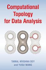 Computational Topology for Data Analysis