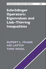 Schrödinger Operators: Eigenvalues and Lieb–Thirring Inequalities