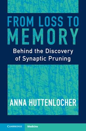 From Loss to Memory