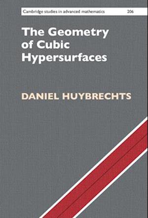 The Geometry of Cubic Hypersurfaces