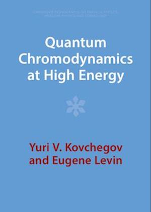 Quantum Chromodynamics at High Energy