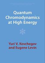 Quantum Chromodynamics at High Energy