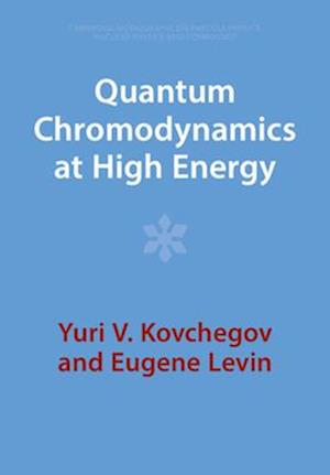 Quantum Chromodynamics at High Energy