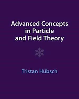 Advanced Concepts in Particle and Field Theory