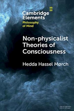 Non-physicalist Theories of Consciousness