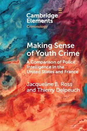 Making Sense of Youth Crime