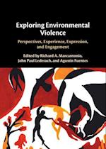 Exploring Environmental Violence