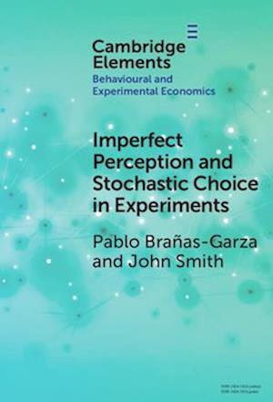 Imperfect Perception and Stochastic Choice in Experiments