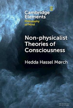 Non-physicalist Theories of Consciousness