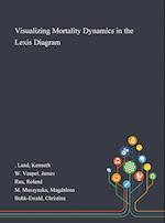 Visualizing Mortality Dynamics in the Lexis Diagram 