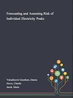 Forecasting and Assessing Risk of Individual Electricity Peaks 