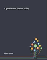 A Grammar of Papuan Malay 
