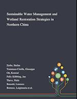 Sustainable Water Management and Wetland Restoration Strategies in Northern China 