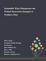 Sustainable Water Management and Wetland Restoration Strategies in Northern China 