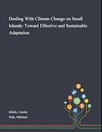 Dealing With Climate Change on Small Islands: Toward Effective and Sustainable Adaptation 