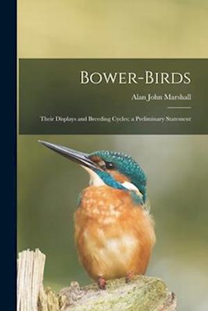 Bower-birds