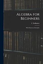 Algebra for Beginners : With Numerous Examples 