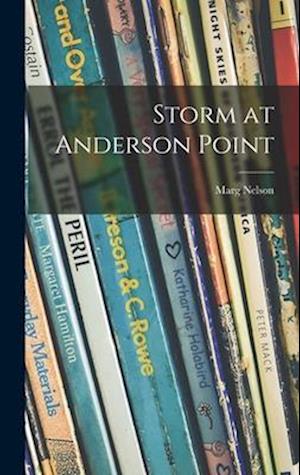 Storm at Anderson Point