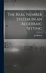 The Real Number System in an Algebraic Setting