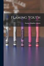 Flaming Youth 