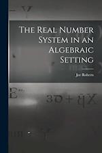 The Real Number System in an Algebraic Setting