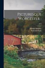 Picturesque Worcester :; pt.2 
