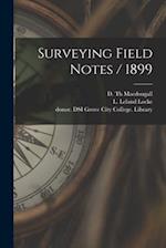 Surveying Field Notes / 1899 