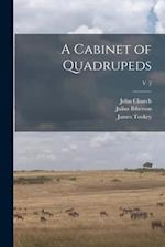 A Cabinet of Quadrupeds; v. 2 