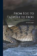 From Egg to Tadpole to Frog