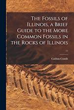 The Fossils of Illinois, a Brief Guide to the More Common Fossils in the Rocks of Illinois; 11