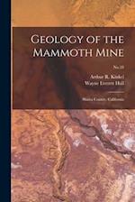 Geology of the Mammoth Mine