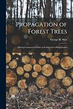 Propagation of Forest Trees [microform] : Having Commercial Value and Adapted to Pennsylvania 