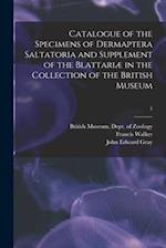 Catalogue of the Specimens of Dermaptera Saltatoria and Supplement of the Blattariæ in the Collection of the British Museum; 5 