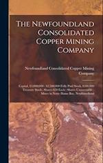 The Newfoundland Consolidated Copper Mining Company [microform] : Capital, $3,000,000 : $2,500,000 Fully Paid Stock, $500,000 Treasury Stock ; Shares 