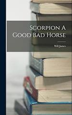 Scorpion A Good Bad Horse 