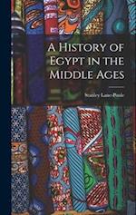A History of Egypt in the Middle Ages 