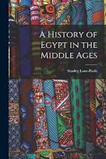 A History of Egypt in the Middle Ages 