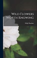 Wild Flowers Worth Knowing 