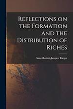 Reflections on the Formation and the Distribution of Riches 
