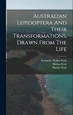 Australian Lepidoptera And Their Transformations, Drawn From The Life 