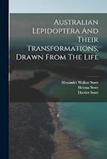 Australian Lepidoptera And Their Transformations, Drawn From The Life 