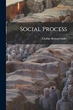 Social Process 