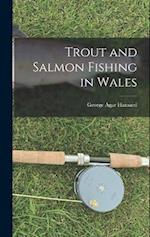 Trout and Salmon Fishing in Wales 