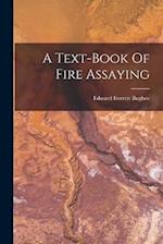 A Text-book Of Fire Assaying 